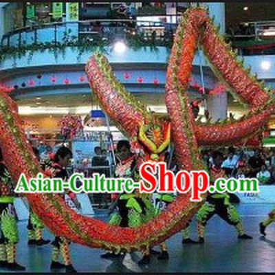 Professional Dragon Dance Troupe Dragon Costume Complete Set