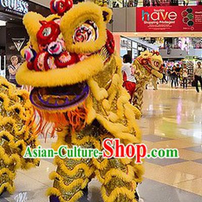 Shopping Mall Play and Display Opening Lion Dance Costume Complete Set