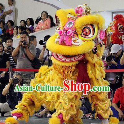 Professional Competition and Celebration Adults Lion Dance Costume
