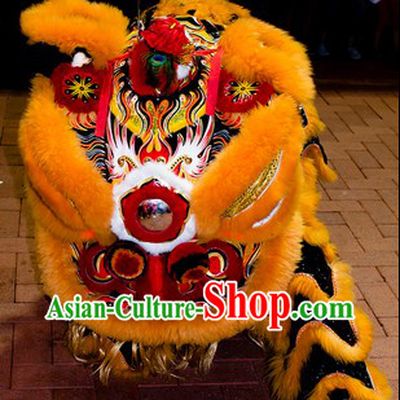 Southern Hoksan Lion Dancing Head and Costumes Rental