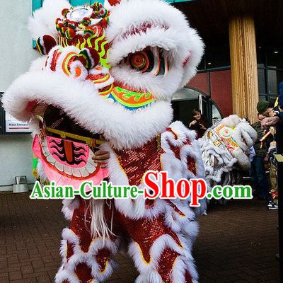 Luck Power Meaning Southern Futsan Lion Dance Costume Complete Set