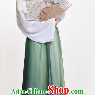Chinese Classic Ban Bi Hanfu Clothing Complete Set for Women