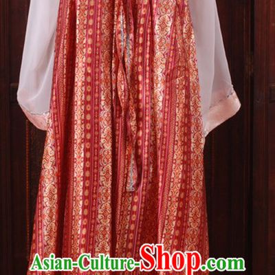 Ancient Chinese Tang Dynasty Ruqun Costumes for Women