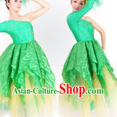 Traditional Chinese Opening Dance Costumes and Headdress for Women