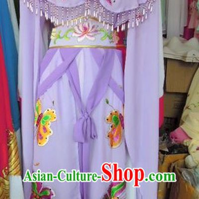 Ancient Chinese Purple Butterfly Robe for Women