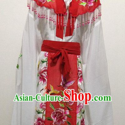 Ancient Chinese Hua Dan Beauty Butterfly Costumes for Women