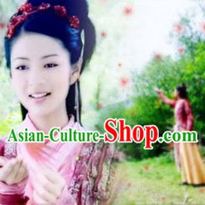 Chinese Paladin TV Opera Lin Yue Ru Costumes