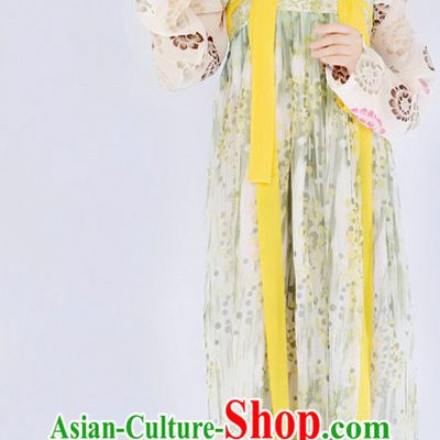 Ancient Chinese Tang Dynasty Female Clothing Complete Set