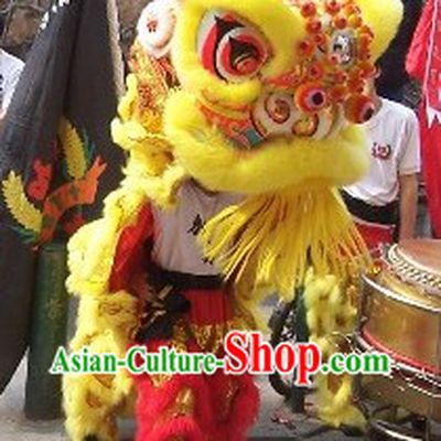 Red and Golden Performance and Parade Lion Dance Costume Complete Set