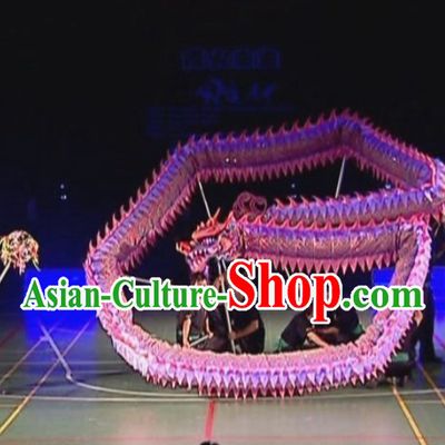 Contest Luminous Dragon Dancing Costume for Ten Youth