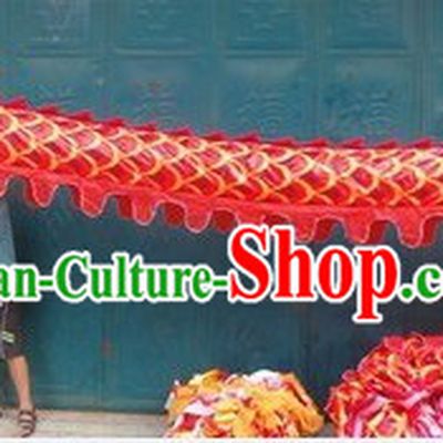 University Institute Dragon Dancing Contest Gym Lessons Costumes for Eight Dancers