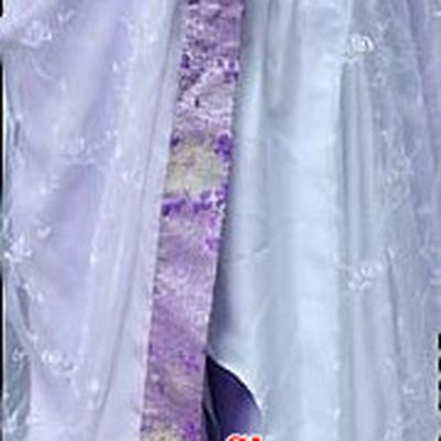 Ancient Chinese Tang Sexy Clothes for Girls