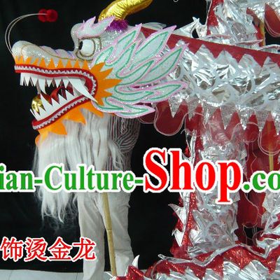 Standard Competition and Parade Silver Dragon Dance Costume for 9-10 Dancers