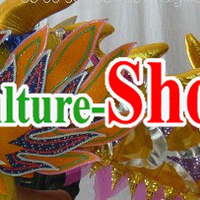 Lightweight Festival Celebration Net Dragon Dance Costume for 15-16 Dancers