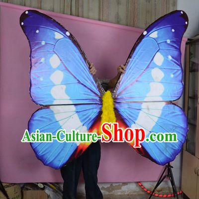 Super Big Stage Performance Adult Dance Butterfly Wings