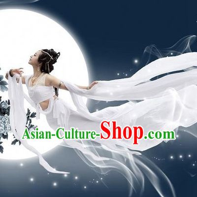 Ancient Chinese White Fei Tian Dance Costumes