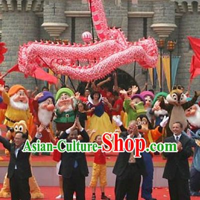 Chinese Lunar New Year Parade Supreme Luminated Dragon Dance Costume Complete Set