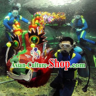 Performance and Parade Rainbow Color Dragon Dance Costume Complete Set