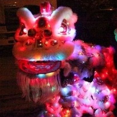 LED Lights Happy Festival Lion Dance Costumes Complete Set