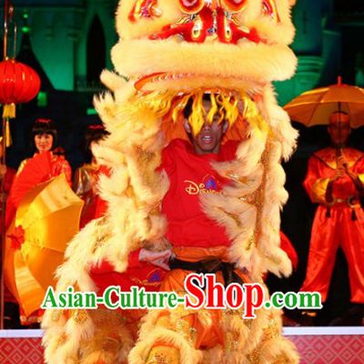 Good Fortune For All Lunar New Year Lion Dance Costume Complete Set