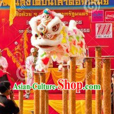 Rainbow Color Lion Dance Head and Tail Costumes Complete Set