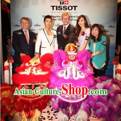 Purple Color Famous Brand Mall Opening Lion Dance Costumes Complete Set