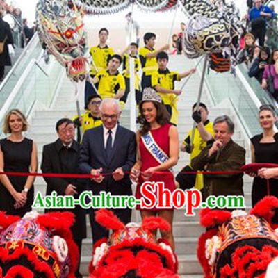Luminated Black Grand Opening Chinese Dragon Dancing Props Complete Set