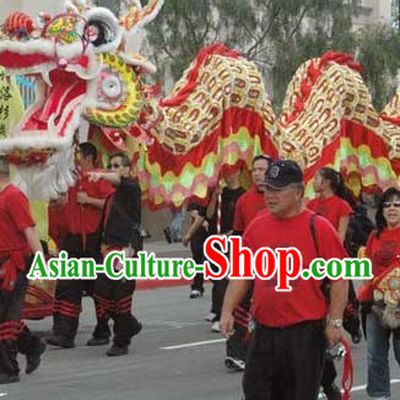 Best Chinese Southern Dragon Dance Costume Complete Set