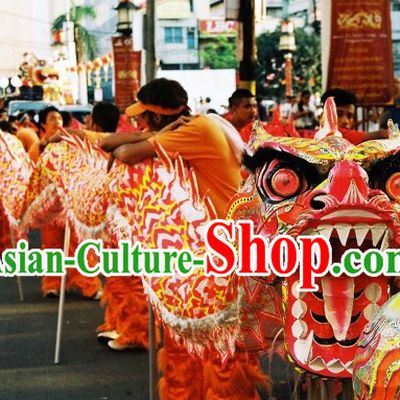 Professional Competition and Parade Glow in the Dark Dragon Dance Costumes Complete Set