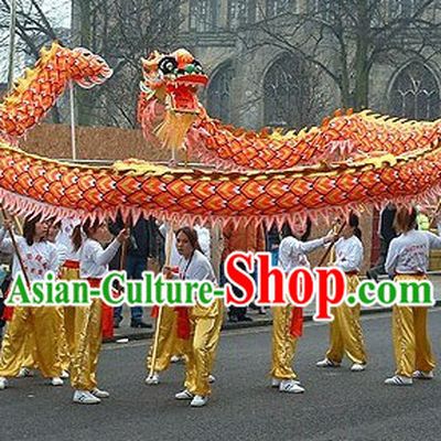 Professional Luminous Dragon Dance Championship Costumes Complete Set