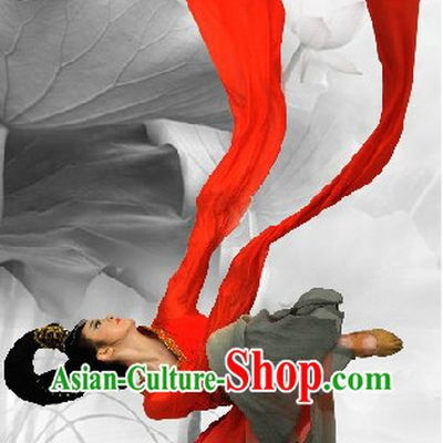 Classical Chinese Long Water Sleeves Dance Costumes and Wig Complete Set