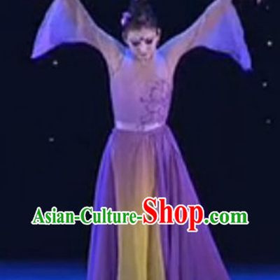 Popular Chinese Traditional Dance Costume