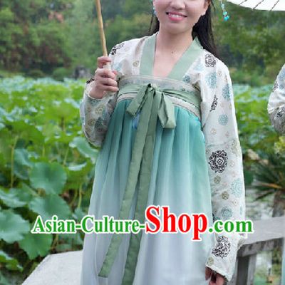Ancient Chinese Tang Dynasty Skirt Dress for Women