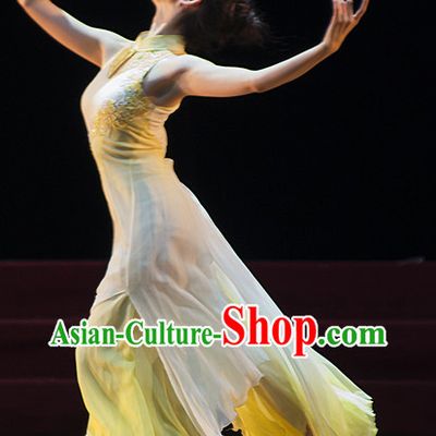 Chinese Classical Solo Dance Costumes Cheongsam for Women