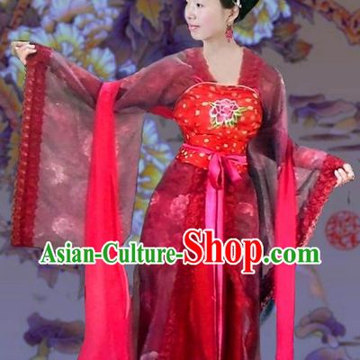 Tang Dynasty Big Sleeves Clothes for Women