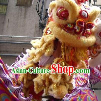 Most Welcome Congratulations Chinese Hok San Lion Dance Costumes Complete Set