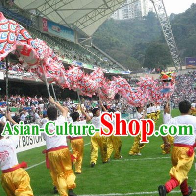 Top Chinese Glow in Dark Luminated Dragon Dance Head and Body Costumes Complete Set