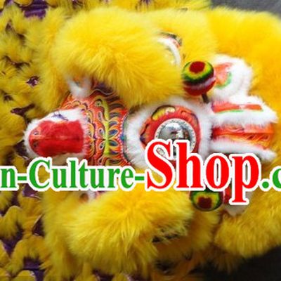 Supreme Chinese Lion Dancing Costume Complete Set for Display and Play