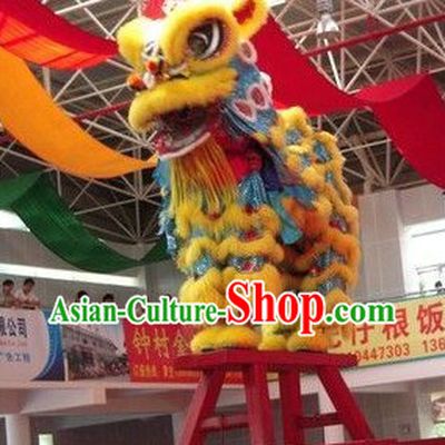 Folk Chinese Lion Dancing Costume Complete Set for Display and Collection