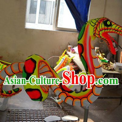 Snake Year Arts of Chinese New Year Sheng Xiao 12 Symbolic Animals Associated with A 12 Year Cycle