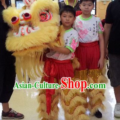 Supreme School Students Lion Dance Costumes Complete Set