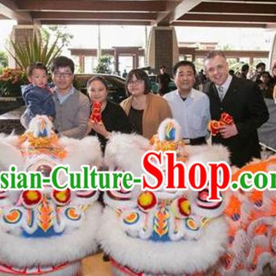 Five Stars Hotel Use Lion Dance Costume Complete Set