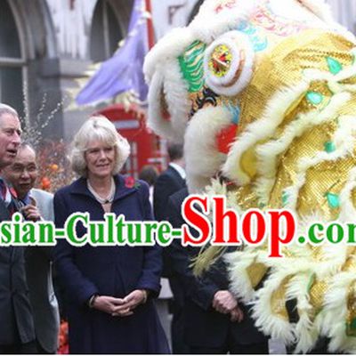 Important Ceremony Performance Lion Dance Costumes Complete Set