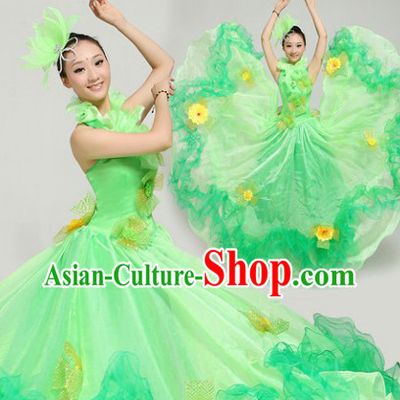 Top Green Flower Dance Costumes and Hairdress
