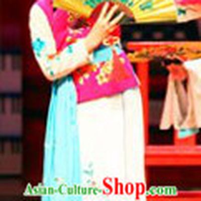 Traditional Chinese Opera Hua Dan Jacket and Skirt Costumes for Kids
