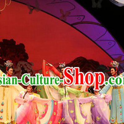 Traditional Chinese Opera Butterfly Love Liang Zhu Butterfly Costumes