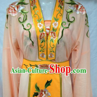 Ancient Chinese Embroidered Female Dresses