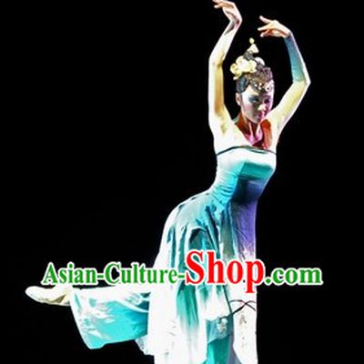 One Shoulder Recital Dance Costumes and Headdress for Professional Dancers