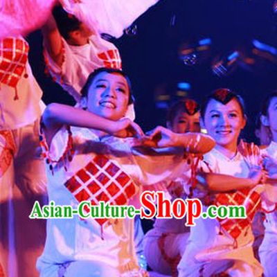 Traditional Chinese Fan Dancing Costume Complete Set
