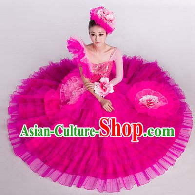 Dance Recital Costumes and Hat for Both Student and Professional Dancers
